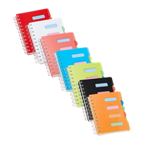 Caderno Pequeno com Divisórias