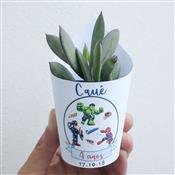 Kit promocional de Mini Planta Suculentas
