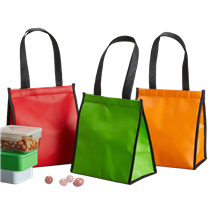 Bolsa Térmica 12L em TNT