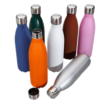 Garrafa Inox 750ml